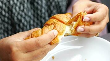 mulheres mão quebra uma fresco cozido croissant video