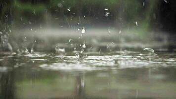 bajo ángulo ver de lluvia gotas en un sendero en un parque en Estanbul video