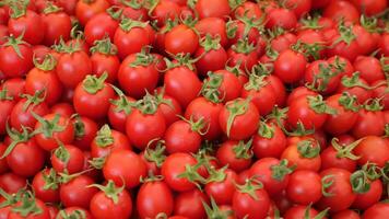 cherry tomato selling at farmers market video