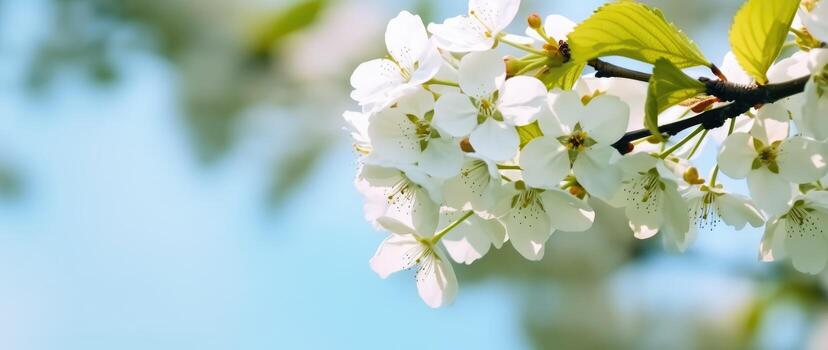 ai generativo blanco flores florecer foto