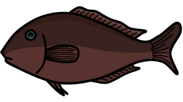 illustration of a brown fish png