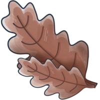 illustration of leaf and  branch png