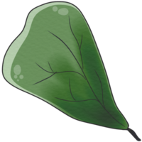 illustration de feuille et branche png