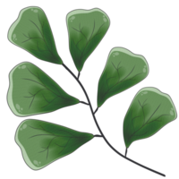 illustration av blad och gren png