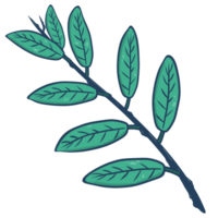 illustration de feuille et branche png