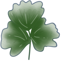 illustration de feuille et branche png