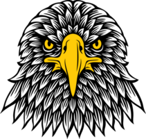 Eagle Head Front View PNG Illustration