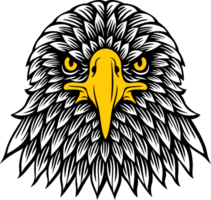 Aigle tête de face vue png illustration