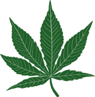 Einfachheit Cannabisblatt Freihandzeichnung png
