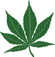 desenho à mão livre de folha de cannabis de simplicidade png