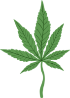 desenho à mão livre de folha de cannabis de simplicidade png