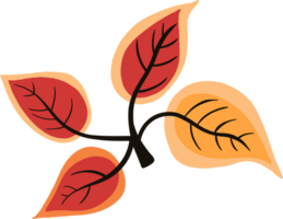 Simplicity autumn leaf freehand drawing png