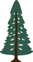 Kiefer Bäume freihändig Zeichnung png
