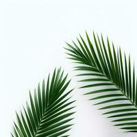 AI Generative palm leaves on a white background photo