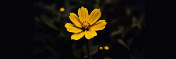 AI Generative single yellow flower in a dark photo