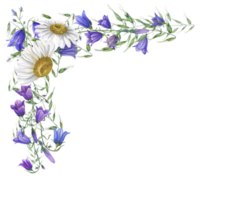 waterverf bellen, madeliefje en haver. wilde bloemen illustratie voor ansichtkaart ontwerp, uitnodiging sjabloon, Valentijn dag, verjaardag, moeder dag kaarten, bruiloft uitnodiging png