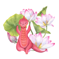 rood draak mediteren tussen bloeiend water lelies. dier beoefenen yoga opdrachten. bloemen samenstelling. realistisch lotus bloem, bladeren en tekenfilm draak. waterverf illustratie png