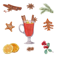 Winter beverage ingredients set. Hot spicy punch. Red berries, spruce branch, Xmas gingerbread cookies. Mulled red wine with cinnamon, star anise, orange. Watercolor illustration png