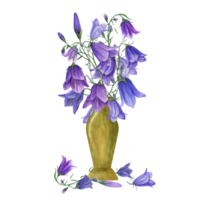 blommig bukett i gul keramisk pott. campanula, blåklocka, klocka blommor. äng växter i vas för interiör dekor, för märka, logotyp, hälsningar, vykort. vattenfärg illustration png