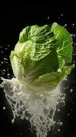 AI Generative a photo of cabbage