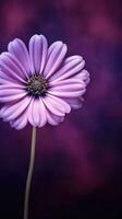 AI Generative purple flower with dark purple background photo