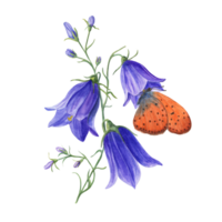 Watercolor copper-butterflies sitting on wild flower campanula. Harebell, bell, meadow herb, plant, flower, butterfly. Perfect for template, wallpaper, print, textile, banner design, postcards png