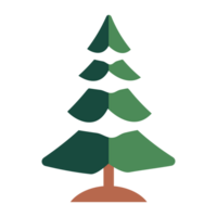 Christmas tree element for winter holiday png