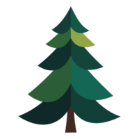 Christmas tree element for winter holiday png