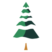 Christmas tree element for winter holiday png