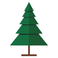 Christmas tree element for winter holiday png