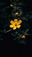 AI Generative single yellow flower in a dark photo