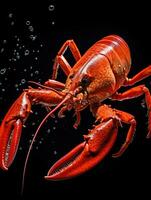 AI Generative a photo of lobster