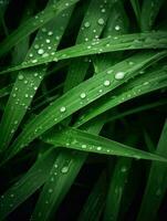 AI Generative grass plants raindrops dew photo