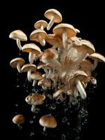 AI Generative a photo of mushrooms