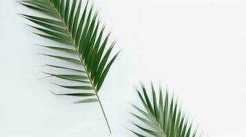 AI Generative palm leaves on a white background photo