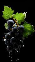 AI Generative a photo of blackcurrant