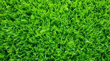 AI Generative green grass background and texture photo