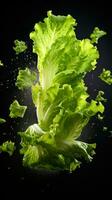 a photo of lettuce