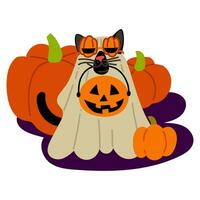 A cat in a sheet for Halloween with a pumpkin candy basket on a pumpkin background. A black cat with pumpkin glasses goes for candy. Flat vector illustration on white. Costume for a cat with glasses