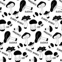 Vector linear seamless pattern with mushrooms and their names. A hand-drawn texture with edible mushrooms highlighted on a white background. Botanical illustration of natural elements. Details forest