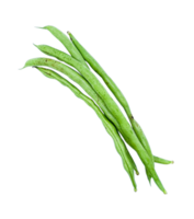 bouquet de Frais vert des haricots isolé png