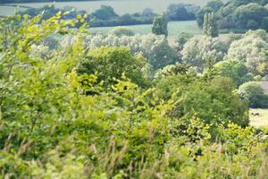 Most Beautiful British Countryside Landscape at Sharpenhoe Clappers Valley of England Luton, UK. Image Was captured on June 24th, 2023 photo