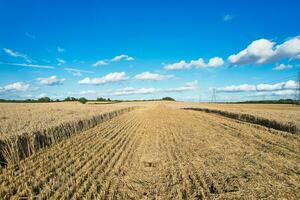 High Angle Footage of British Agricultural Farms at Countryside Landscape Nearby Luton City of England Great Britain of UK. Footage Was Captured with Drone's Camera on August 19th, 2023 photo