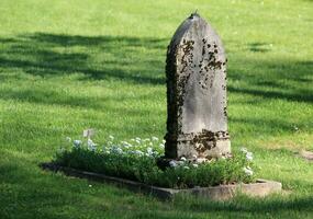 Old tombstone and green grass photo