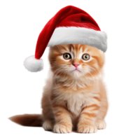 röd katt med jul santa hatt ai generativ png