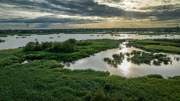 Aerial view of swamp in easter europe in summer hot day photo