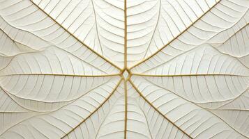 Close up texture leaf structure macro photography, abstract texture, Generative AI illustration photo