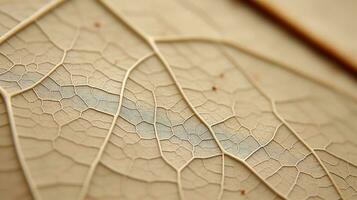 Close up texture leaf structure macro photography, abstract texture, Generative AI illustration photo