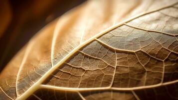 Close up texture leaf structure macro photography, abstract texture, Generative AI illustration photo