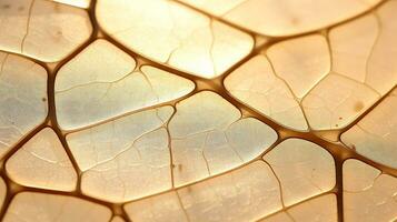 Close up texture leaf structure macro photography, abstract texture, Generative AI illustration photo